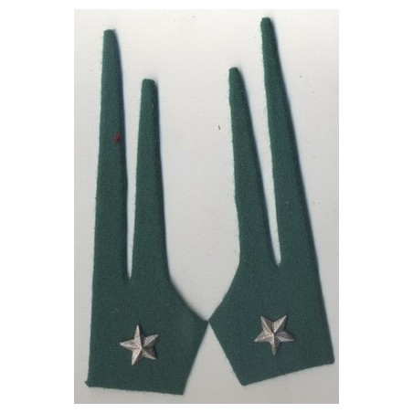 Meta title-mostrine Alpini