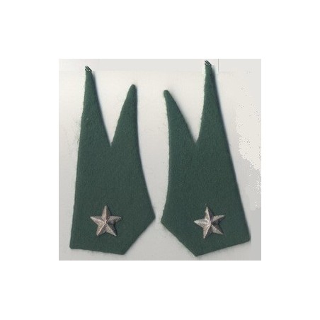 Meta title-mostrine Alpini