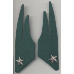 Meta title-mostrine Alpini
