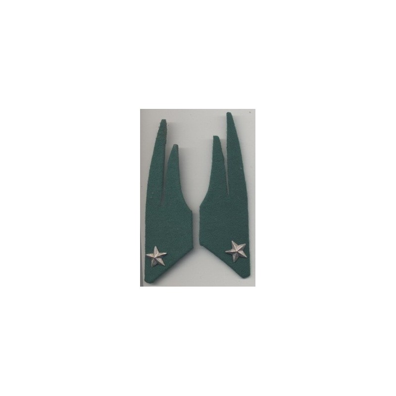 Meta title-Kragenspiegel Alpini