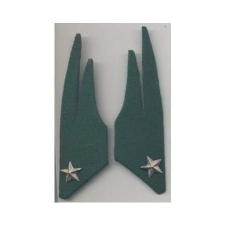 Meta title-Kragenspiegel Alpini