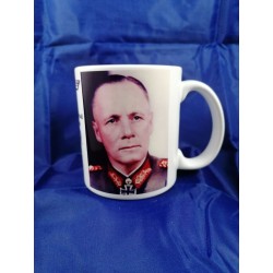 Erwin Rommel color