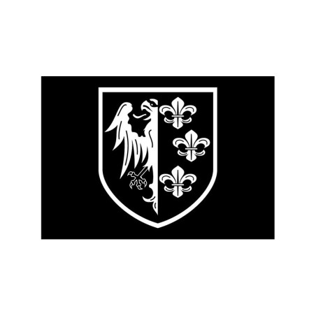Meta title-flag SS