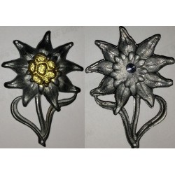 Edelweiss