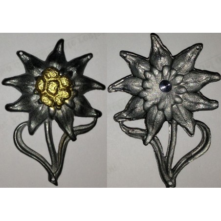 Edelweiss