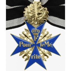 Meta title-insignia