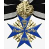 Meta title-insignia
