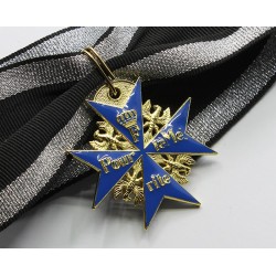 Meta title-insignia