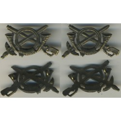 Meta title-insignia