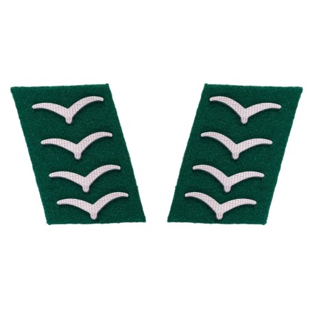 Meta title-insignia