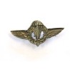 Meta title-distintivi da petto Esercito Italiano