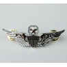 Master Aviator Wings