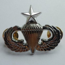 Meta title-Abzeichen U.S. Army