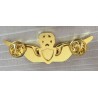 Commander Aviator Wings