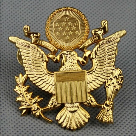 Meta title-fregi da cappello US Army