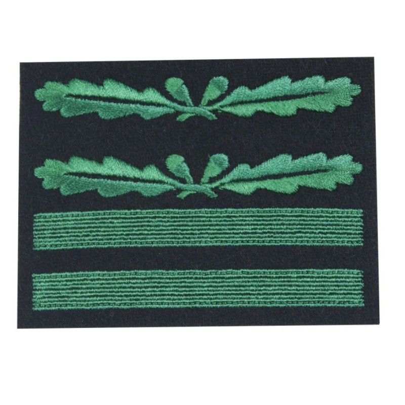 SS Obersturmbannfuhrer, WH Oberstleutnant SS Obersturmbannfuhrer, WH Oberstleutnant