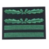 SS Obersturmbannfuhrer, WH Oberstleutnant