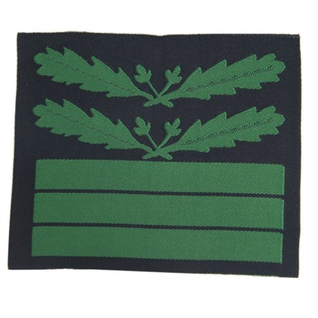 SS Standartenfuhrer, WH Oberst