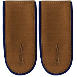 LW medical shoulder boards. Blue piping.