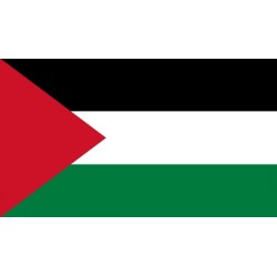 Meta title-flag
