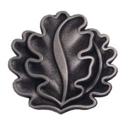 Meta title-insignia
