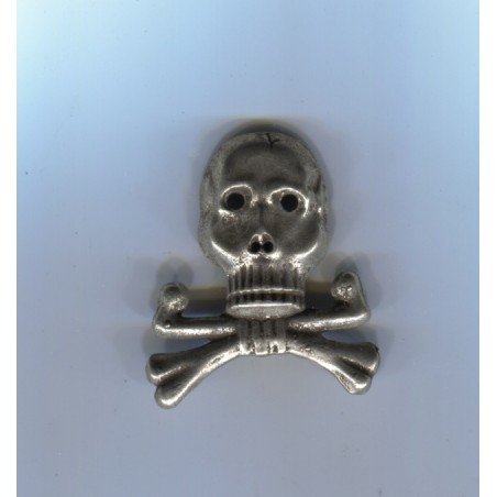 Brunswick Skull