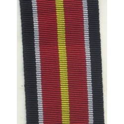Divisione Azul