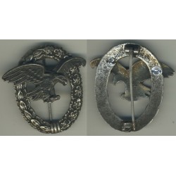 Brevetto Osservatore argento
