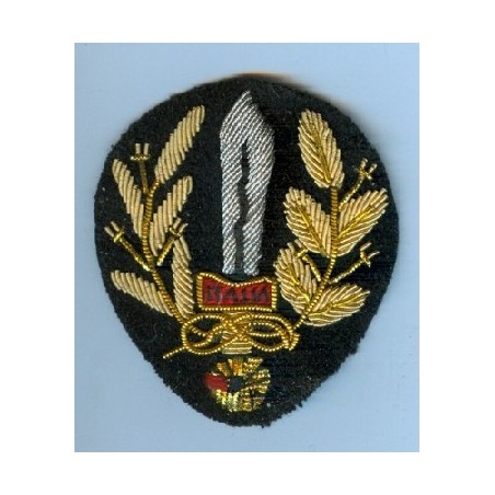 Brave officier