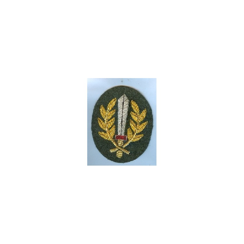 Anti-partisan operations Anti-partisan operations