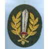 Anti-partisan operations