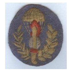 Fallschirmjäger RSI