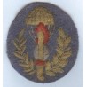 Paracaidista RSI