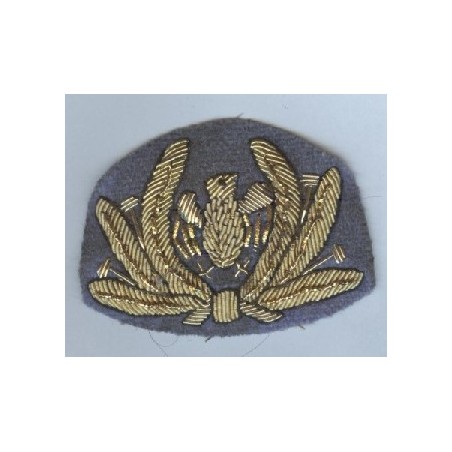 RSI Air Force