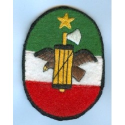 Equipo de acción de L'Aquila