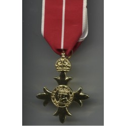 Meta title-insignia