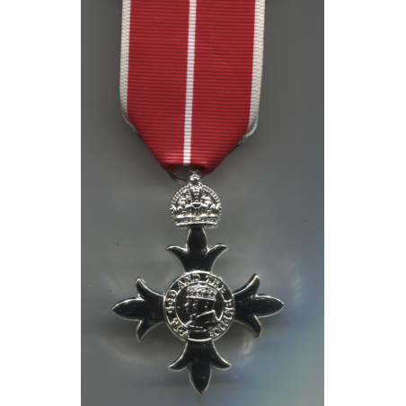 Meta title-insignia