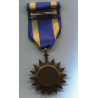 Meta title-insignia