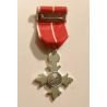 Meta title-insignia