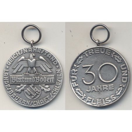 Medaglia Sangue e Suolo