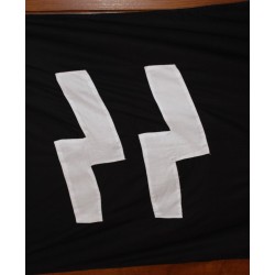 Meta title-bandiere SS