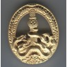 Meta title-insignia
