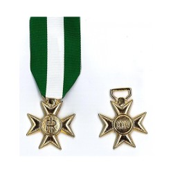 Meta title-insignia