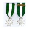 Meta title-insignia