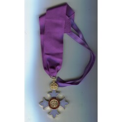 Meta title-insignia
