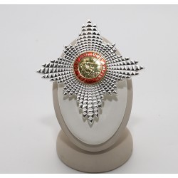 Meta title-insignia