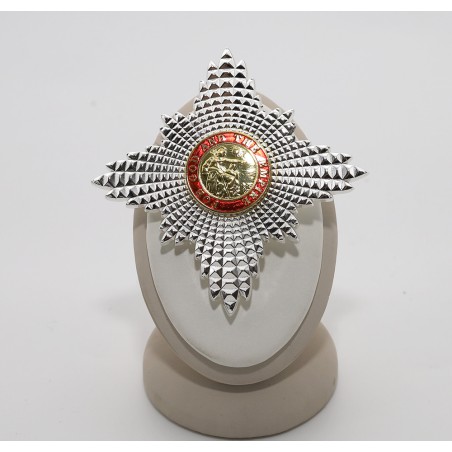 Meta title-insignia