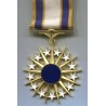 Air Force Distinguished Service Medal