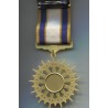 Meta title-insignia