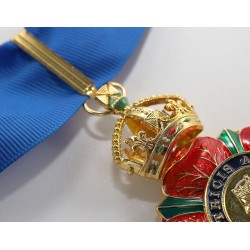 Meta title-insignia